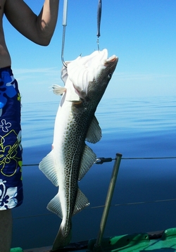 Морская Рыбалка