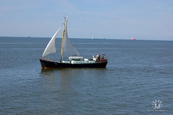 морские прогулки